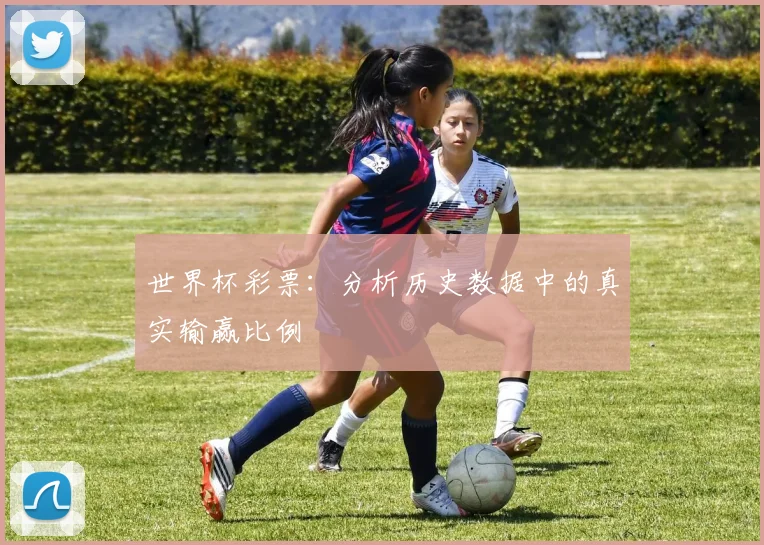 世界杯彩票:分析历史数据中的真实输赢比例