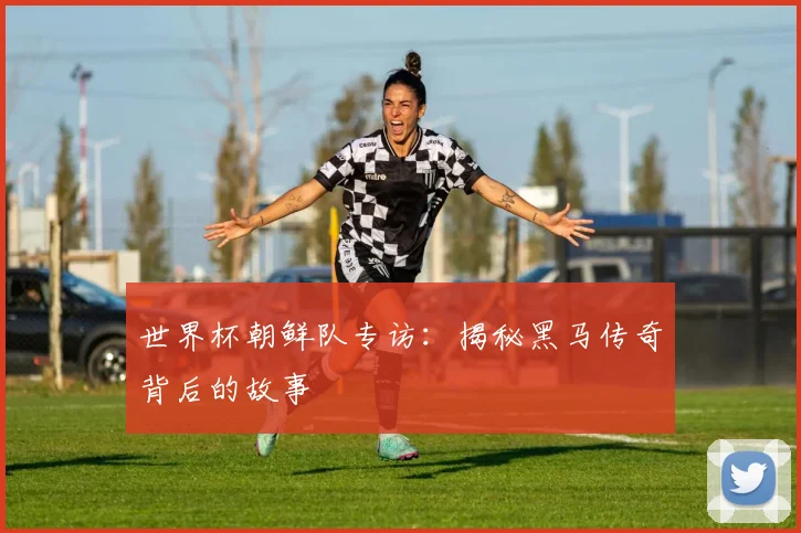 世界杯朝鲜队专访：揭秘黑马传奇背后的故事