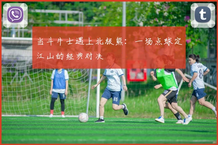 当斗牛士遇上北极熊：一场点球定江山的经典对决