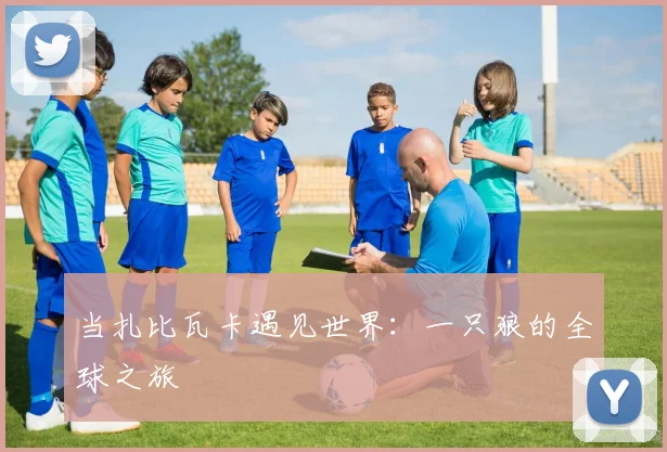 当扎比瓦卡遇见世界：一只狼的全球之旅