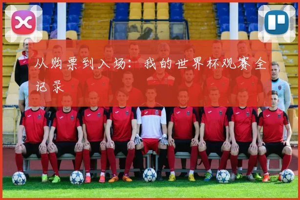 从购票到入场：我的世界杯观赛全记录