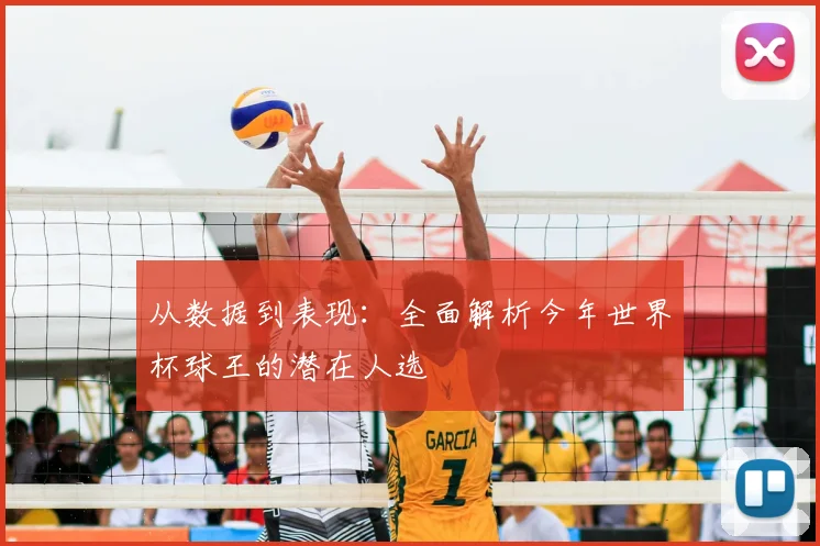 从数据到表现:全面解析今年世界杯球王的潜在人选