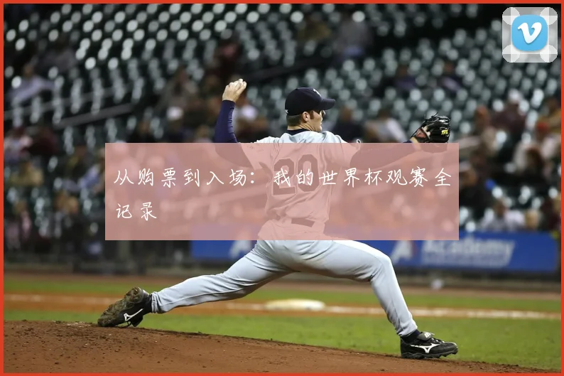 从购票到入场：我的世界杯观赛全记录