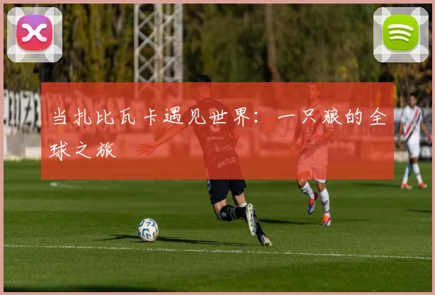当扎比瓦卡遇见世界：一只狼的全球之旅