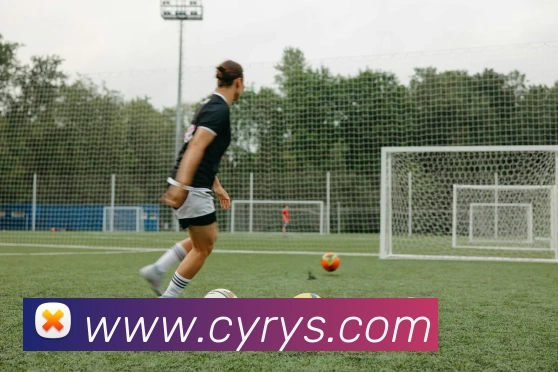 云开体app登录入口服务体系